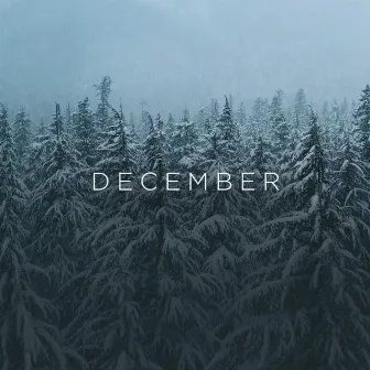 December by Amit Inderdeo