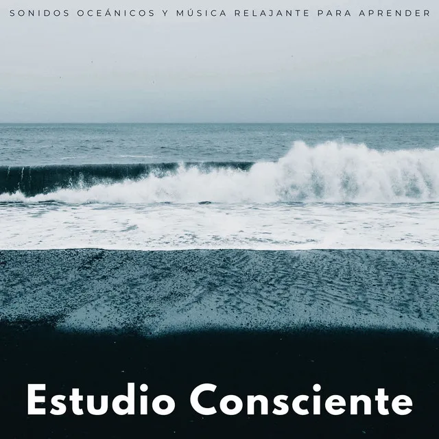 Pistas De Sesión De Estudio