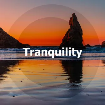 Tranquility by The Ocean Waves Sounds