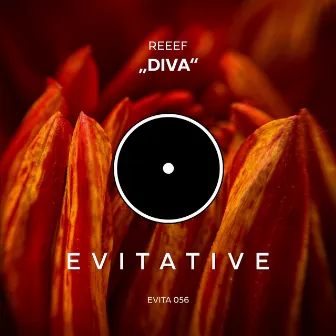 Diva by REEEF