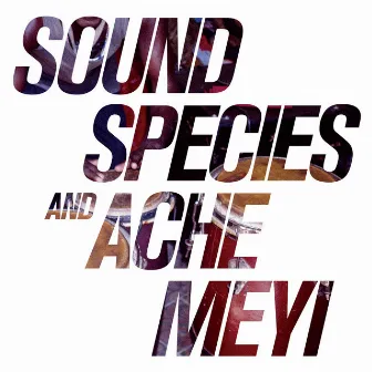 Soundspecies & Ache Meyi by Soundspecies