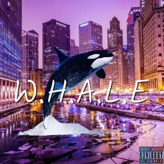 W.H.A.L.E by ImJustDane