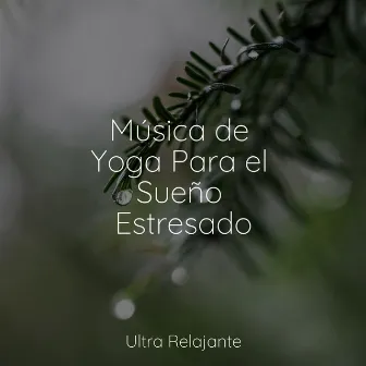 Música de Yoga Para el Sueño Estresado by Naturaleza Relajacion