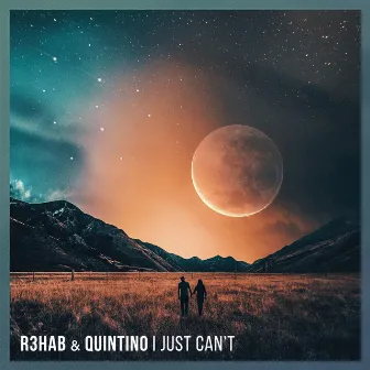 I Just Can't by Quintino