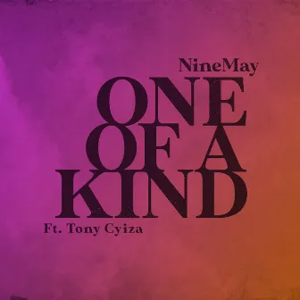 One of a Kind by NineMay