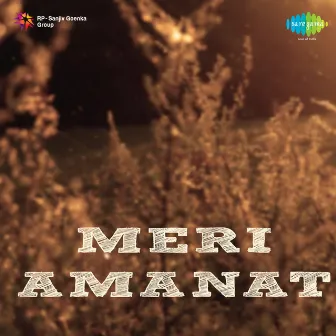 Meri Amanat (Original Motion Picture Soundtrack) by Unknown Artist