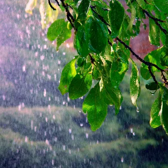 Soft Rainfall Enchantment of Serenity by The Weather Company