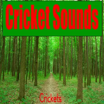 Cricket Sounds by Crickets