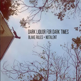 Dark Liquor for Dark Times by Blake Rules