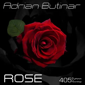 Rose by Adrian Butinar