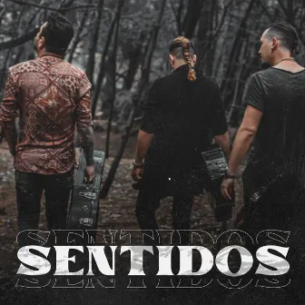 Sentidos by Unknown Artist