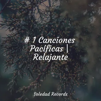 # 1 Canciones Pacíficas | Relajante by Relajación Meditar Academie