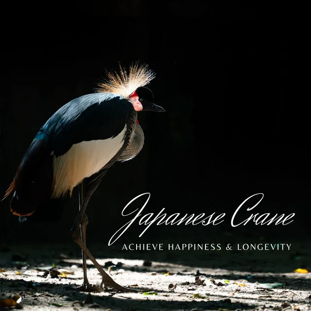 Japanese Crane: Achieve Happiness & Longevity