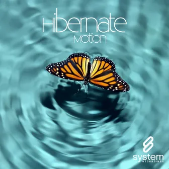 Motion by Hibernate