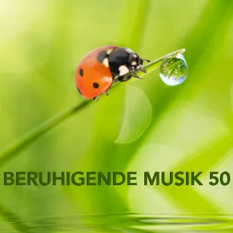 Beruhigende Musik 50 - Meditation, Mentales Training, Autogenes Training, Transzendentale Meditation und Yoga Musik by Beruhigende Musik Akademie