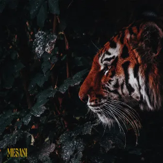 Jungle by Mesani