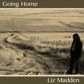 Going Home by Liz Madden