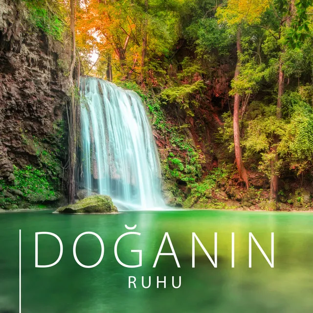 Doğanın Ruhu (Her Güne Şifa Veren Müzik, Bedenin Rahatlaması, Zihnin Yenilenmesi, Terapi ve Meditasyon Evinizde)