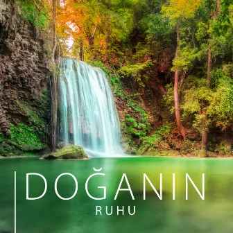 Doğanın Ruhu (Her Güne Şifa Veren Müzik, Bedenin Rahatlaması, Zihnin Yenilenmesi, Terapi ve Meditasyon Evinizde) by Gevşeme Meditasyon Akademisi