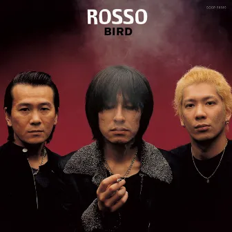 BIRD by ROSSO