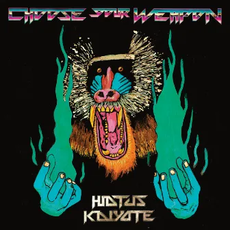 Choose Your Weapon by Hiatus Kaiyote