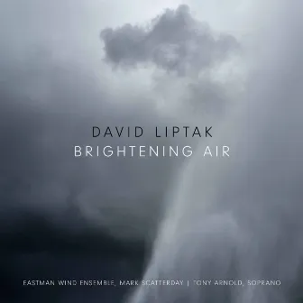 David Liptak: Brightening Air by David Liptak