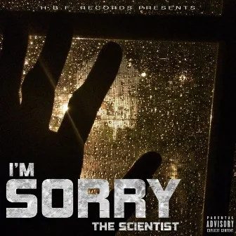 I'm Sorry by The Scientist