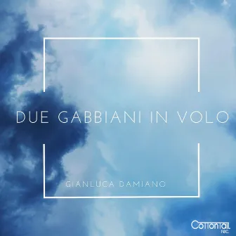 Due Gabbiani in Volo by Gianluca Damiano