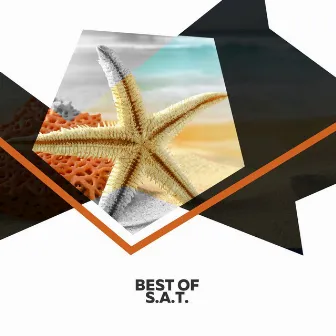 Best Of by S.A.T