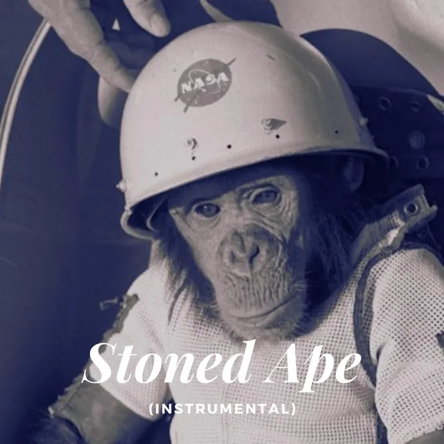 Stoned Ape - Instrumental