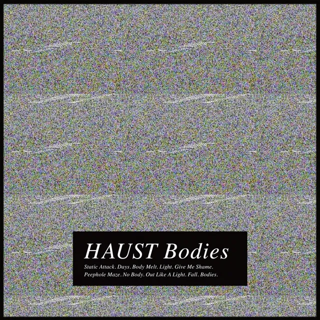 Bodies