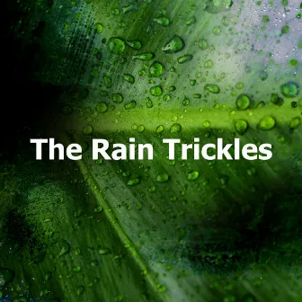 The Rain Trickles by Lush Rain Creators