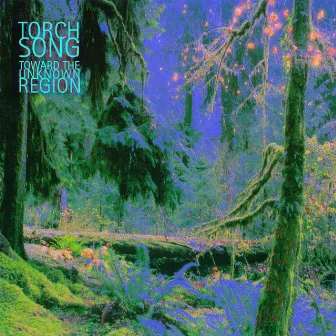 Toward the Unknown Region by TORCH SONG