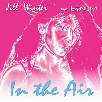 In the Air by Jill Winter