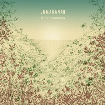 Enmarañao by Trio Enmarañao