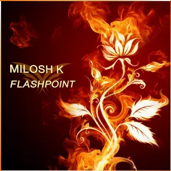 Flashpoint by Milosh K