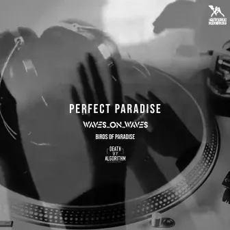 Perfect Paradise by Birds of Paradise