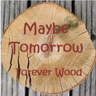 Forever Wood by Maybe Tomorrow