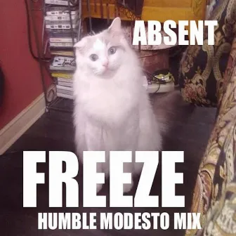 Freeze (Humble Modesto Mix) by Absent Minded