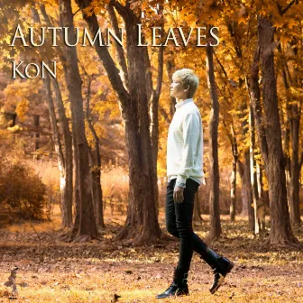 Autumn Leaves by KoN