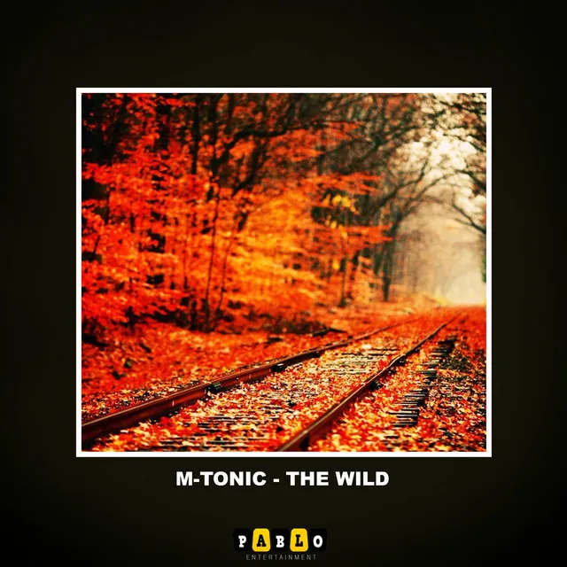 The Wild - Original mix