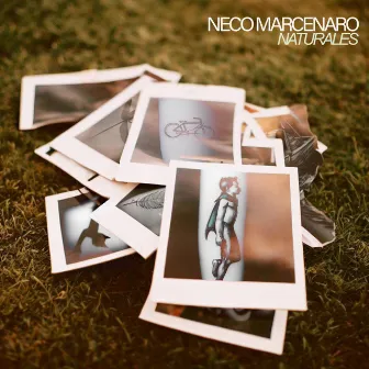 Naturales by Neco Marcenaro