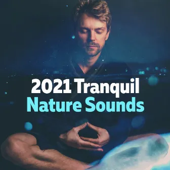 2021 Tranquil Nature Sounds by Nature Calm