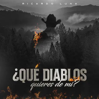 Que Diablos Quieres De Mi by Ricardo Luna