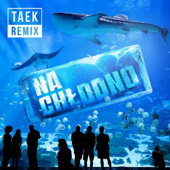 Na chłodno by Dj Taek