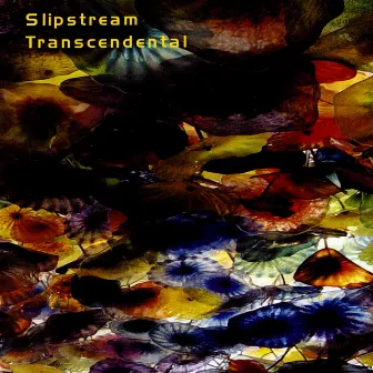 Transcendental by Slipstream