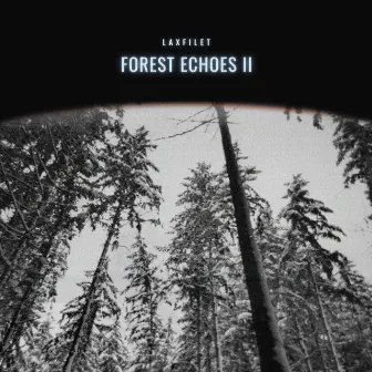 Forest Echoes II by laxfilet