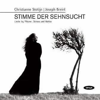 Stimme der Sehnsucht - Lieder by Pfitzner, Strauss and Mahler by Christianne Stotijn