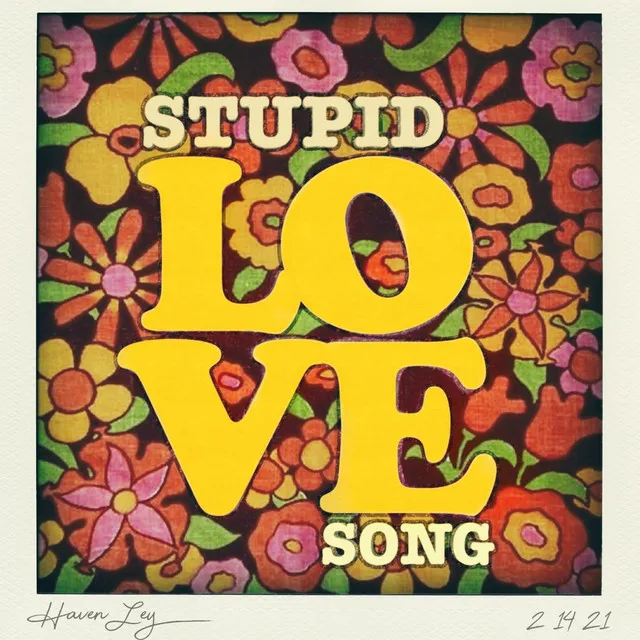 Stupid Love Song