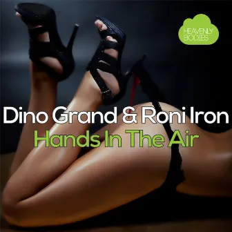 Hands In The Air by Dino Grand